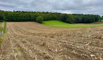Działka inwestycyjna Stężyca