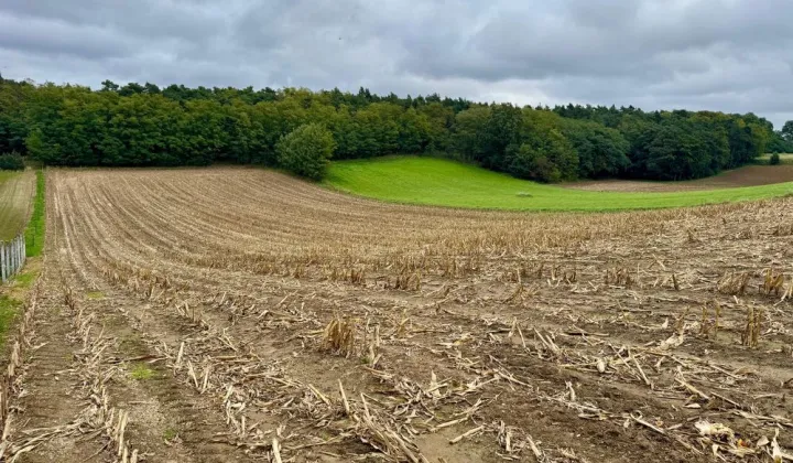 Działka inwestycyjna Stężyca