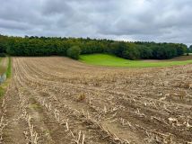 Działka inwestycyjna Stężyca