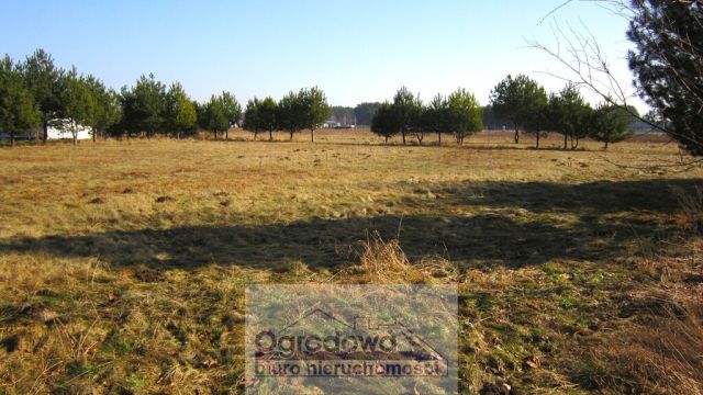 Działka budowlana Jadów. Zdjęcie 6