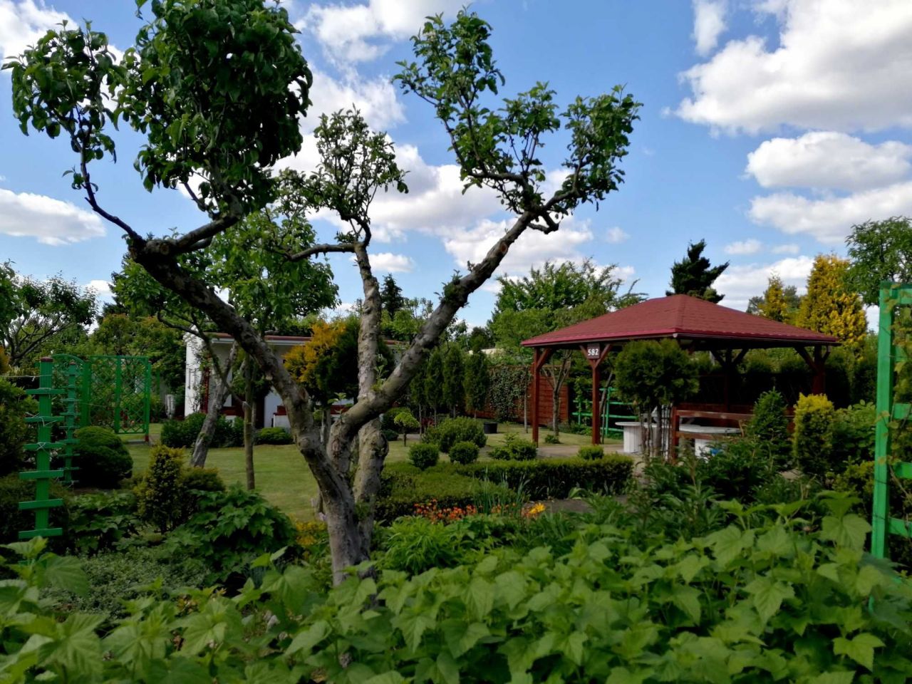 Działka rod Poznań Krzesiny, ul. Jarosławska. Zdjęcie 2