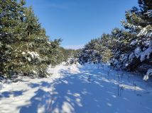 Działka rekreacyjna Wygoda. Zdjęcie 4