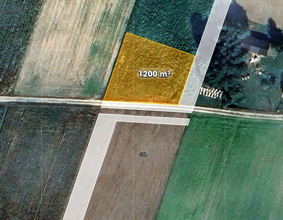 Działka budowlana Domaniew