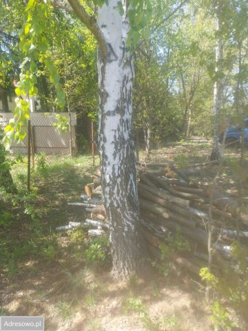 Działka Warszawa Dąbrówka Szlachecka, ul. Czeremchowa. Zdjęcie 1