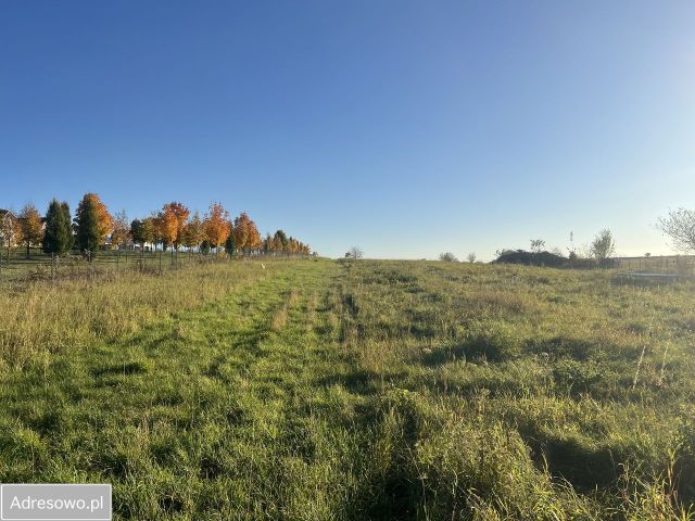 Działka budowlana Dąbrowa Górnicza Ujejsce, ul. Olimpijska. Zdjęcie 1