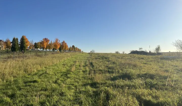 Działka budowlana Dąbrowa Górnicza Ujejsce, ul. Olimpijska