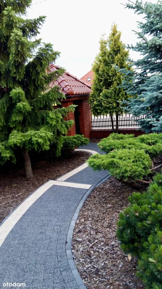 dom wolnostojący, 6 pokoi Płock Podolszyce, Boryszewo Nowe. Zdjęcie 3