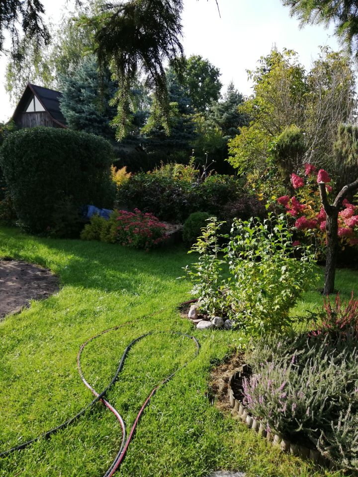 Działka rod Warszawa Bemowo, Dzialka ROD Bemowo II. Zdjęcie 21