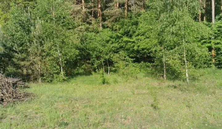 Działka budowlana Porządzie