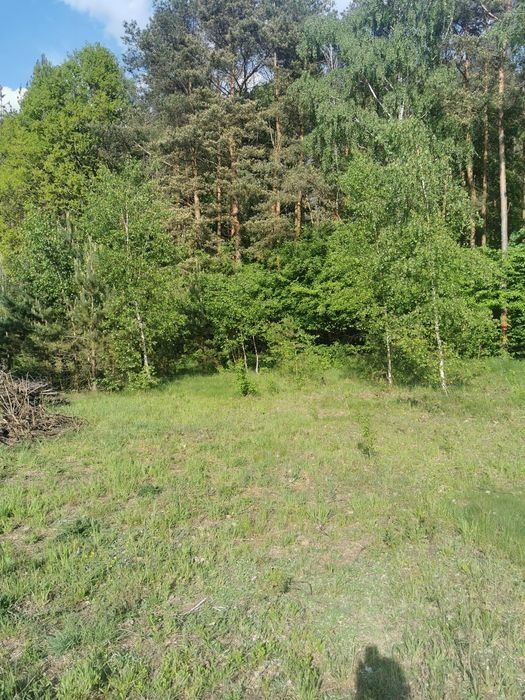 Działka budowlana Porządzie. Zdjęcie 1