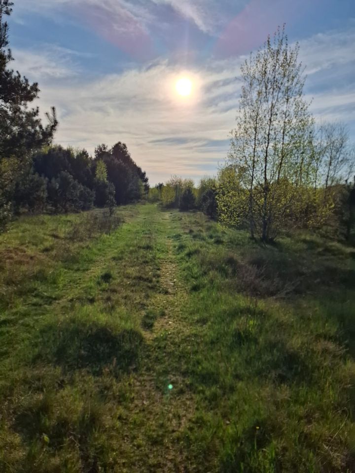 Działka budowlana Gorzów Wielkopolski, Brak. Zdjęcie 2