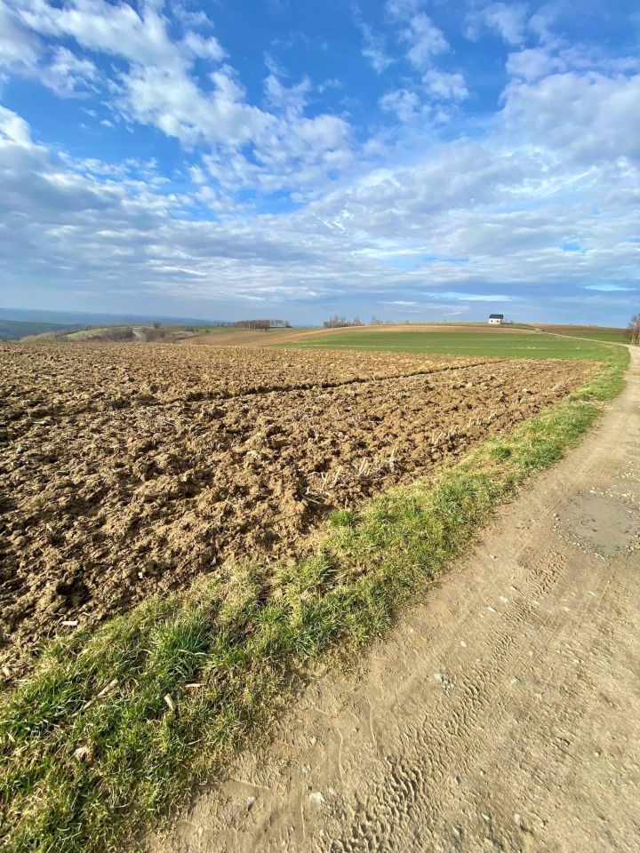Działka rolna Jaszczurowa. Zdjęcie 5