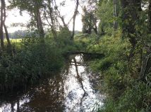 Działka siedliskowa Młyniska. Zdjęcie 1