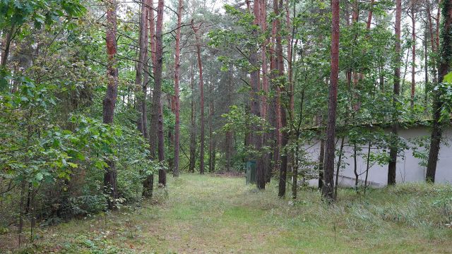 Działka rekreacyjna Nowe Kozuby. Zdjęcie 1