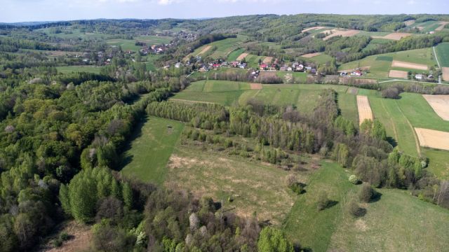 Działka rolna Laskówka. Zdjęcie 11