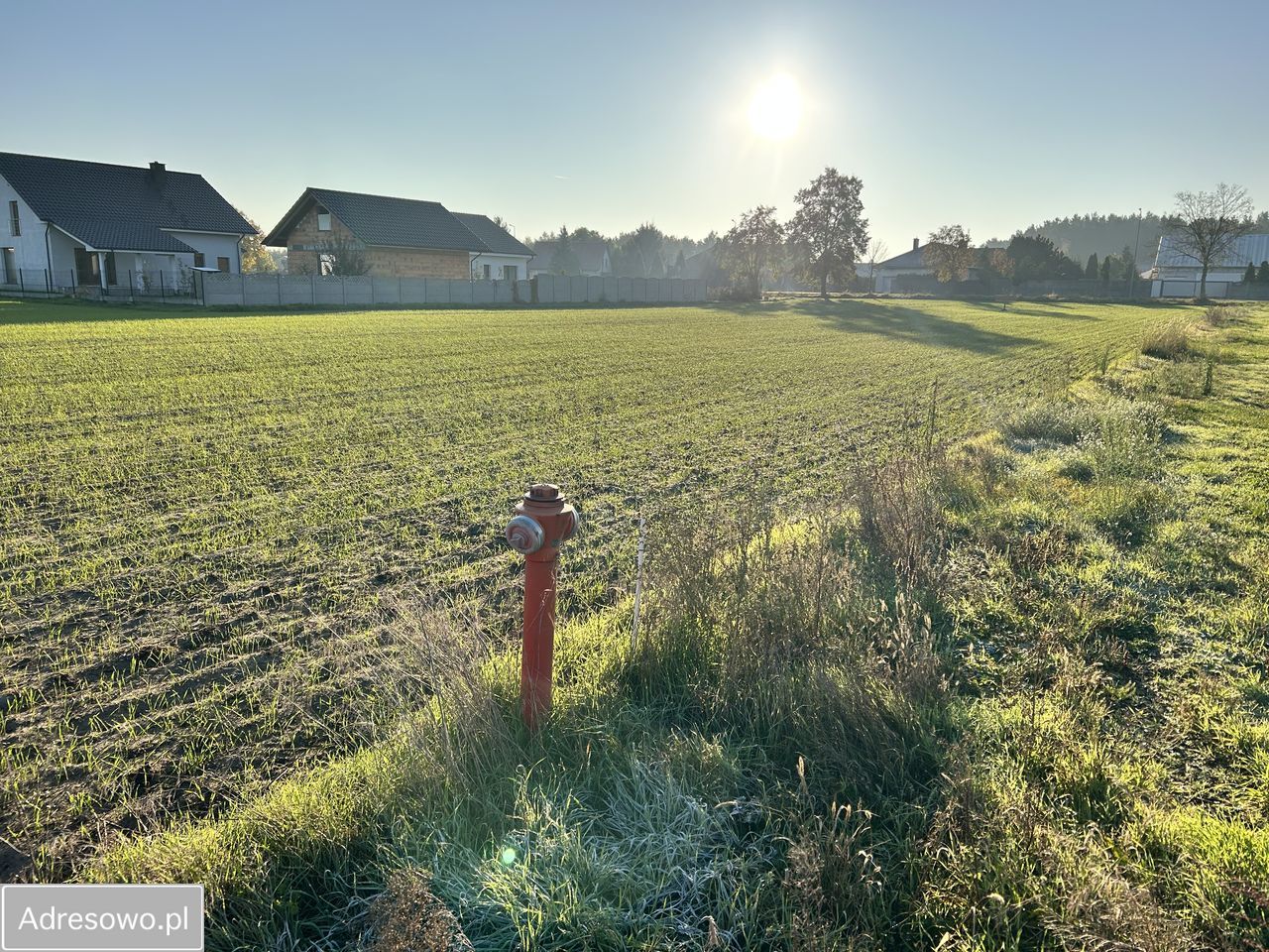 Działka budowlana Bucz, ul. Malinowa. Zdjęcie 4