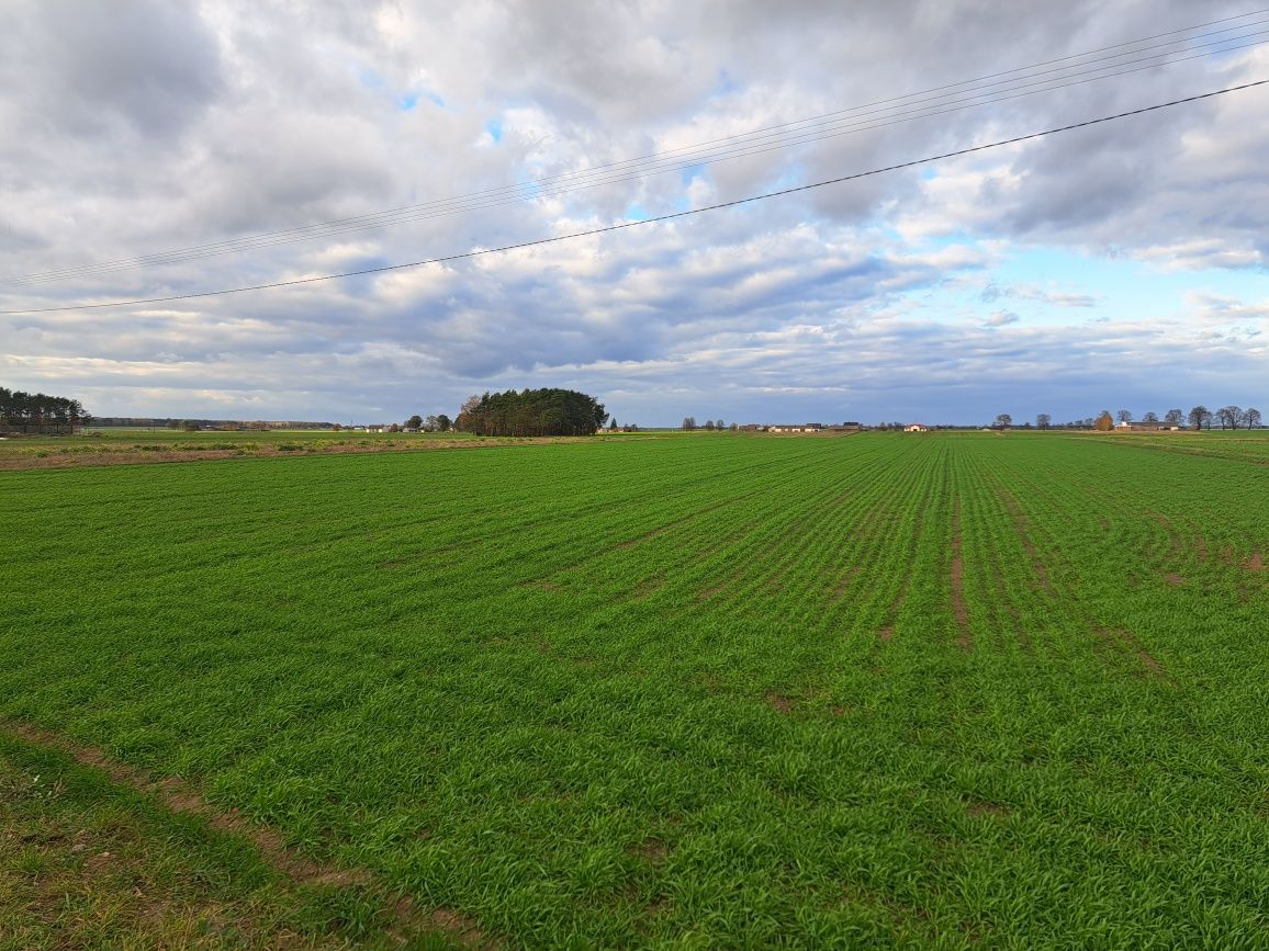 Działka budowlana Celinowo. Zdjęcie 2