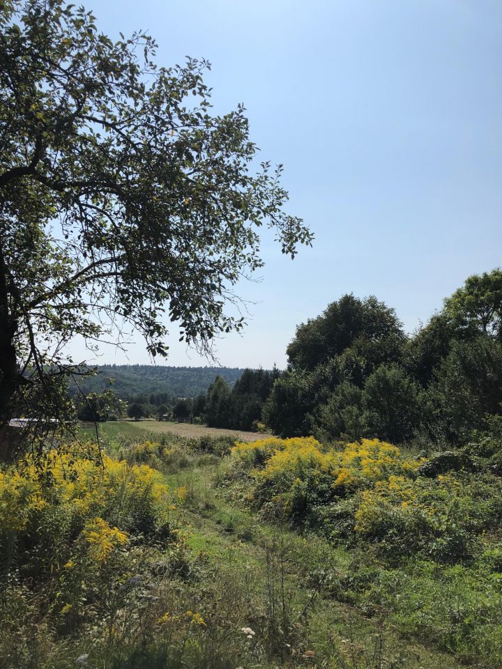 Działka budowlana Trzepieciny