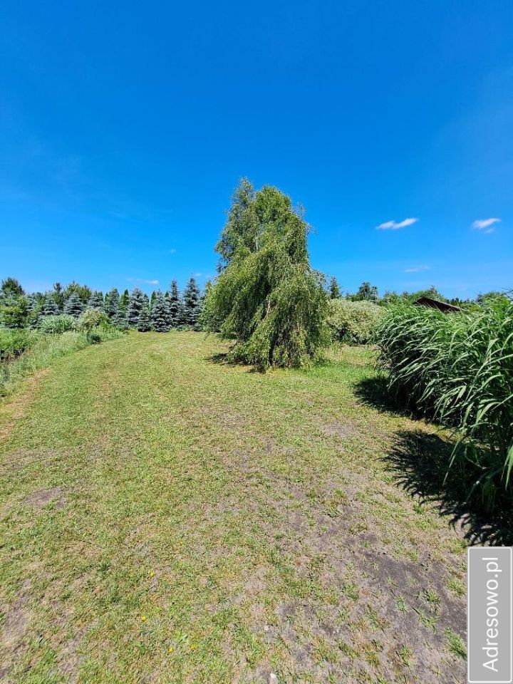 Działka budowlana Wólka Żabna. Zdjęcie 20