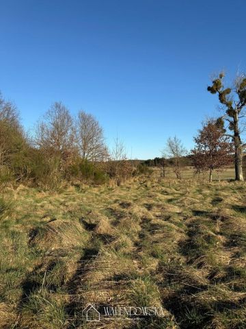 Działka rolna Gardna Wielka. Zdjęcie 3