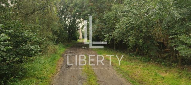 Działka rolna Barnisław. Zdjęcie 6