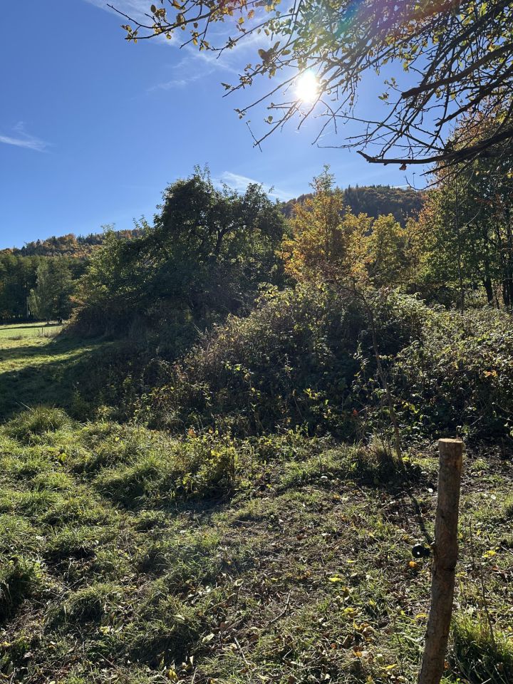 Działka budowlana Szczawina. Zdjęcie 9