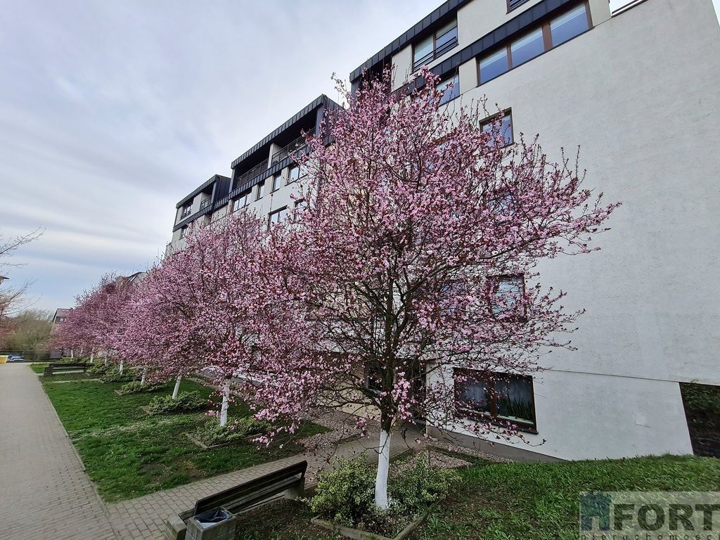 Mieszkanie 2-pokojowe Szczecin Warszewo, ul. Panoramiczna. Zdjęcie 10