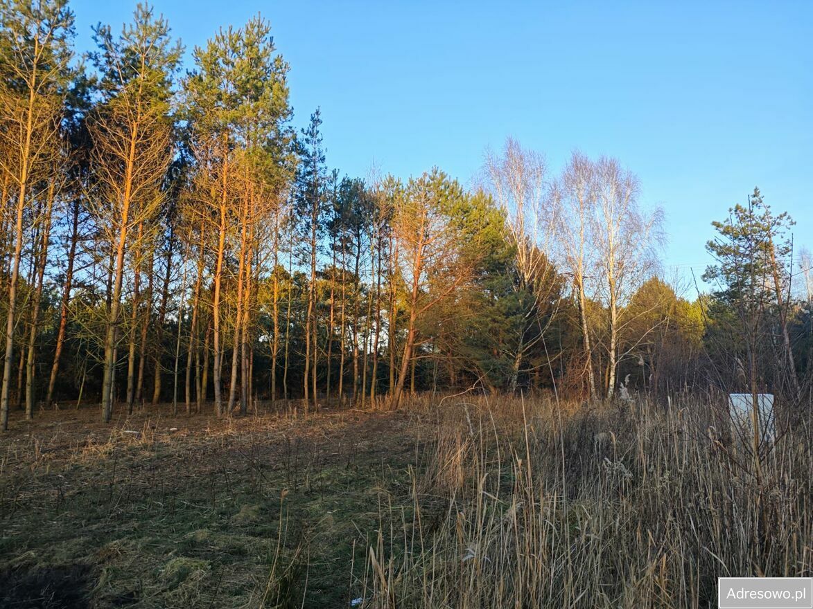 Działka budowlana Glinno. Zdjęcie 3