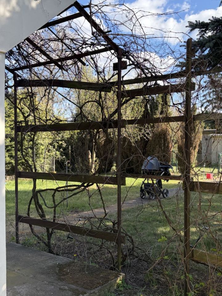 Działka rod Toruń, ul. Palmowa. Zdjęcie 5