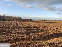 Działka budowlana Wybudowanie Michałowo, ul. Łączna. Zdjęcie 3