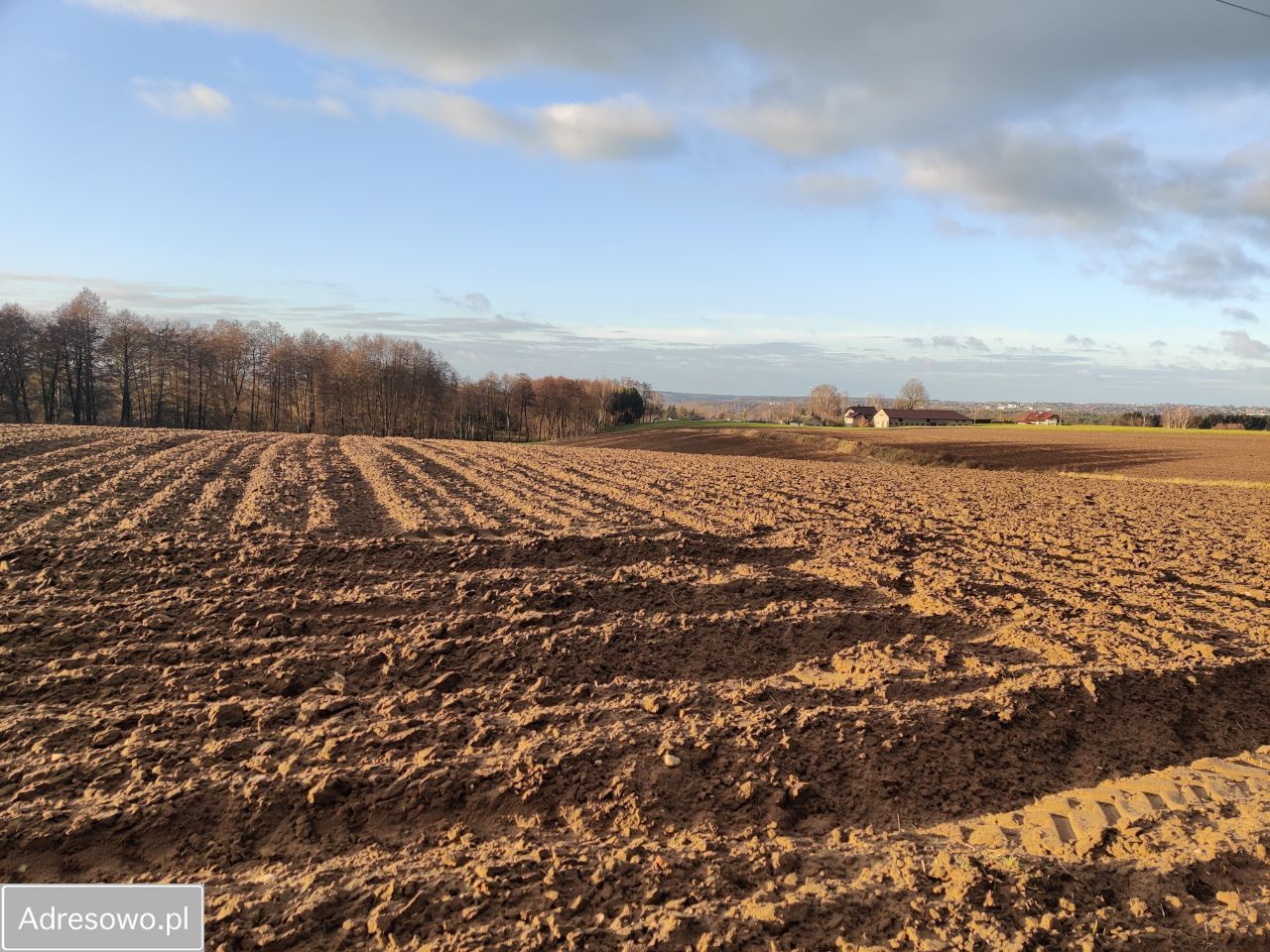 Działka budowlana Wybudowanie Michałowo, ul. Łączna. Zdjęcie 4