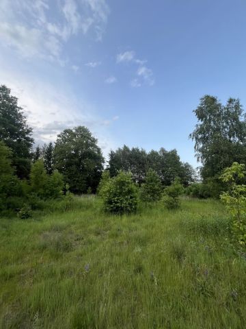 Działka budowlana Józefów, ul. Strużańska. Zdjęcie 1