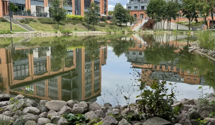 Mieszkanie 2-pokojowe Łódź, ul. ks. bp. Wincentego Tymienieckiego