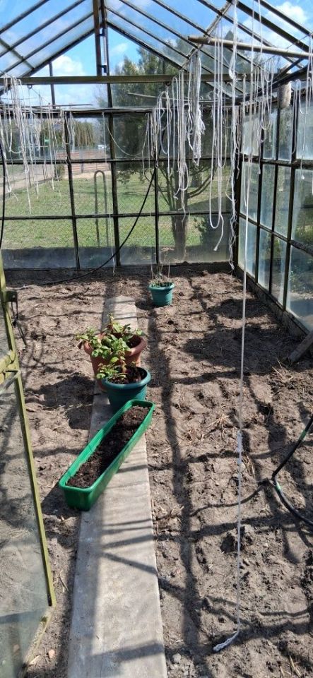 Działka rod Toruń Rudak. Zdjęcie 8