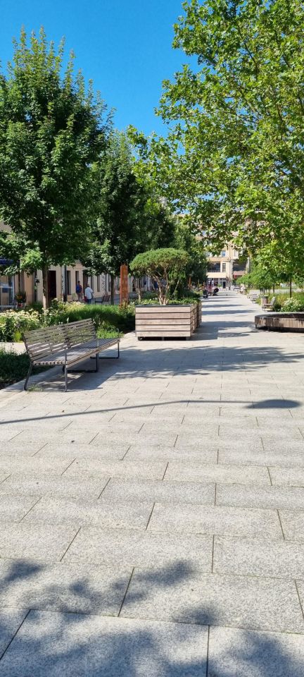 Mieszkanie 2-pokojowe Łódź Śródmieście, ul. Henryka Sienkiewicza. Zdjęcie 40