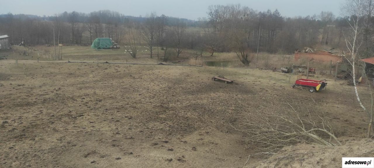 Działka budowlana Lauda. Zdjęcie 3