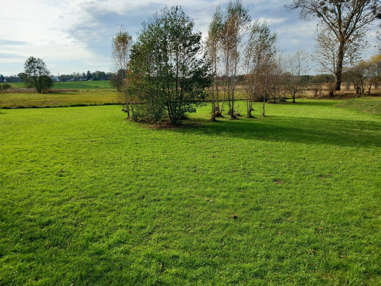 Działka budowlana Wojsławice. Zdjęcie 4