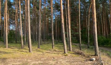 Działka budowlana Zamość