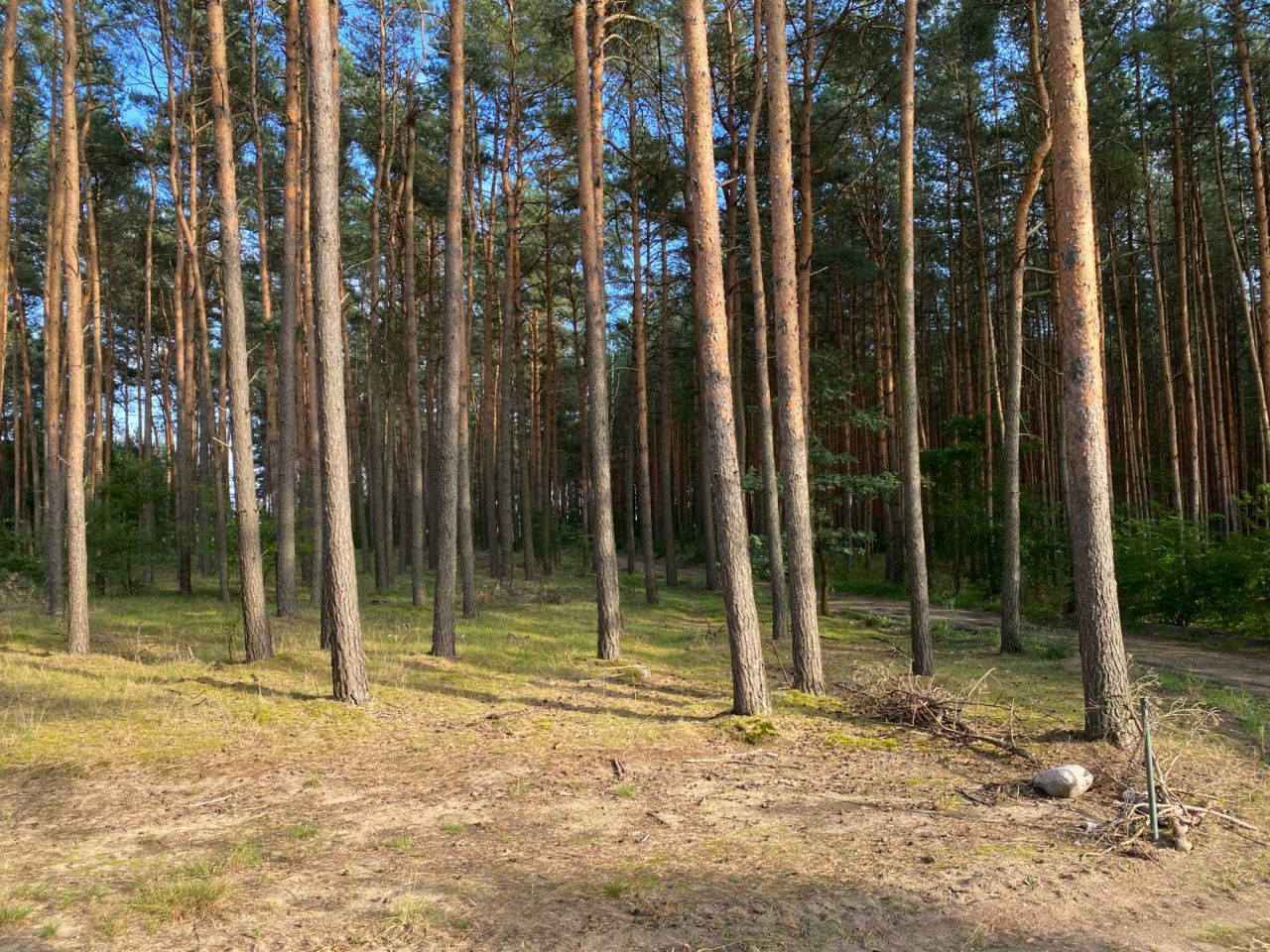 Działka budowlana Zamość. Zdjęcie 2