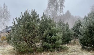 Działka budowlana Nowy Wilków