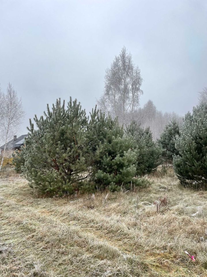 Działka budowlana Nowy Wilków. Zdjęcie 2