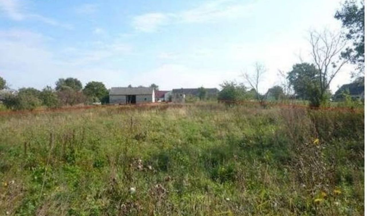 Działka inwestycyjna Bienice. Zdjęcie 2