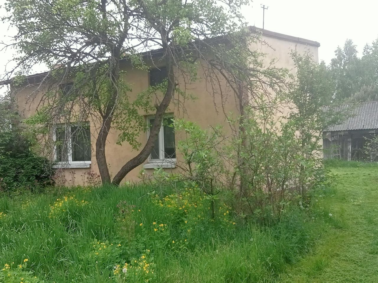 Działka rolno-budowlana Zgierz Okręglik, ul. Okręglik. Zdjęcie 5