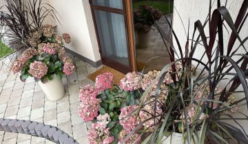 dom wolnostojący, 5 pokoi Żuromin, ul. Jezuitów