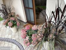 dom wolnostojący, 5 pokoi Żuromin, ul. Jezuitów. Zdjęcie 1