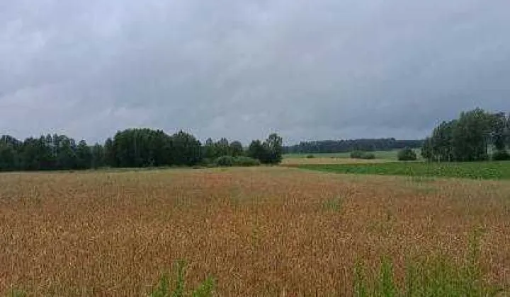 Działka rolna Wasilków Panerka