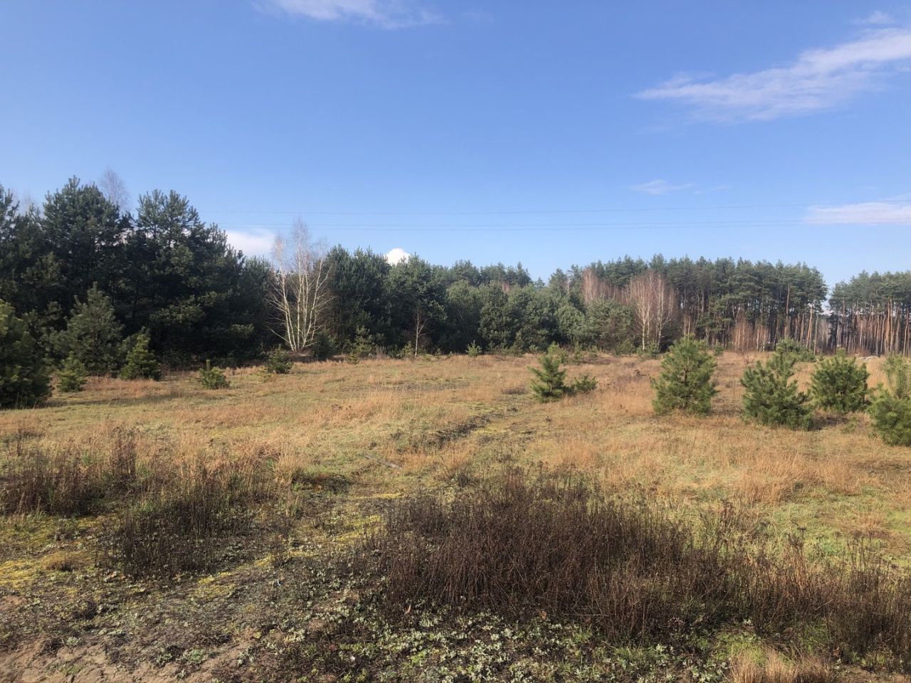 Działka budowlana Górki, ul. Żwirowa. Zdjęcie 7