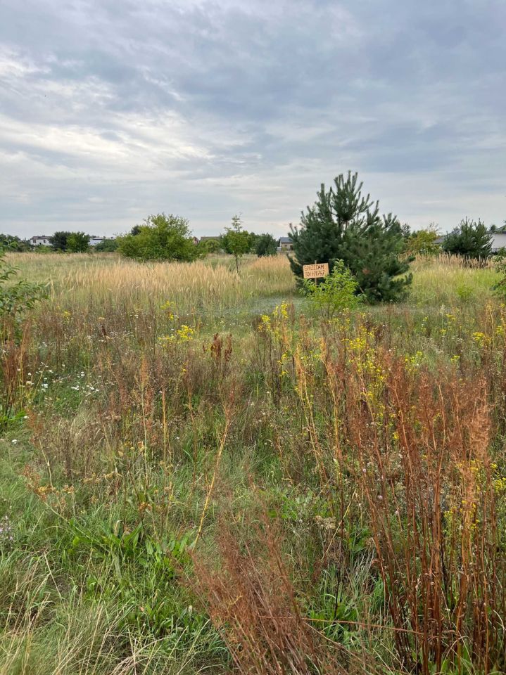 Działka budowlana Golina, ul. Kąkolowa. Zdjęcie 2