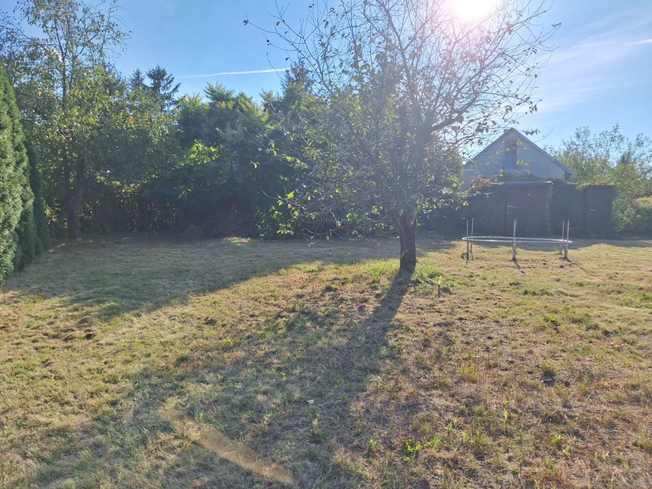 Działka rod Płock Radziwie, ul. Dobrzykowska. Zdjęcie 7