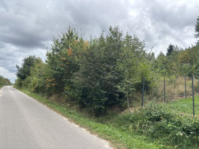 Działka budowlana Wola Łagowska. Zdjęcie 1